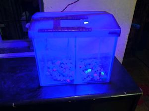 Fish Tank