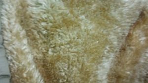 Men Khakhi Colour Warm Jacket With Inside Fur