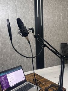 Professional Studio Microphone