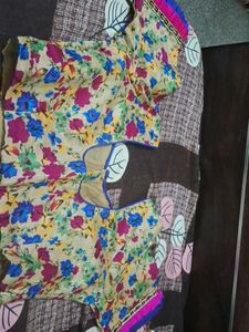 Embroidered Green Saree with  blouse