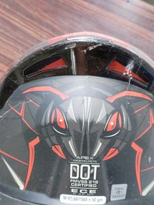 Motorcycle Helmet