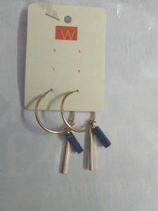 Hanging Stunning Earrings