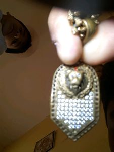 Chain And Tiger Locket