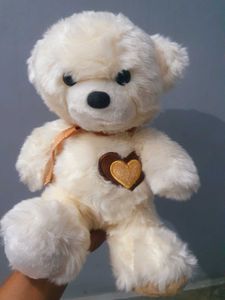 Cute Cream Teddy Bear