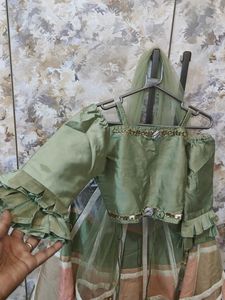 Elegant Lehenga Choli Set