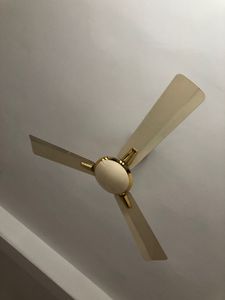 Ceiling Fan