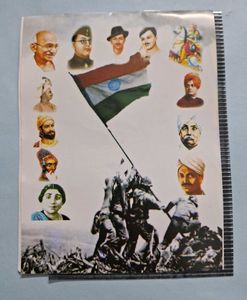 Satellite Safari: India Book