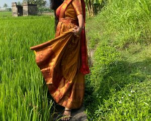 Golden Red Dhavani Set