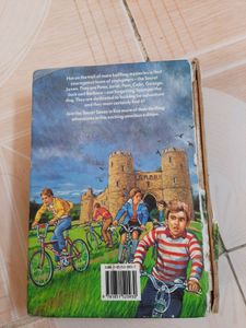 combo of 2 books mire adventures of secret seven and cold muntain