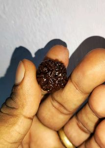 Sulemani Hakik Natural with 5 Nepali Rudraksha