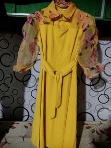 Beautiful Bodycon Dress With Collar Neck