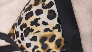 Padded High Quality Branded Bra..32 To 34
