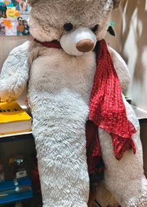 Giant Teddy Bear 3.5 Feet Fixed Price+ Freebie