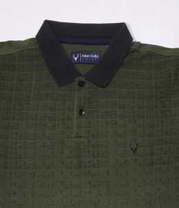Allen Solly Polo T-shirt