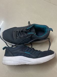 Asian Sport Shoes