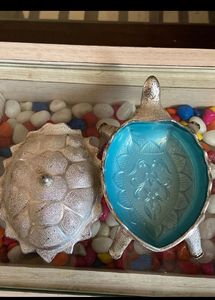 4bowls,juicer,turtle mukwas