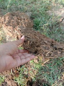 Upla/thepri/Cow Dung Cake