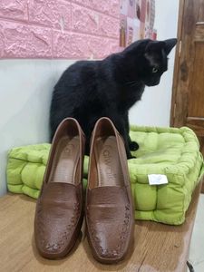 Formal Catwalk Brown Kitten Heels