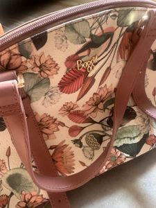 Baggit Handbag