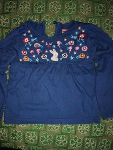 Cute Blue Embroidered Top