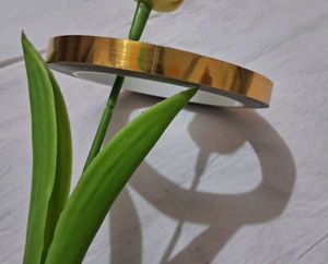 Adhesive Tape