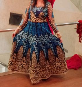 Heavy Party Wear Gown
