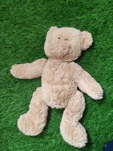 Teddy