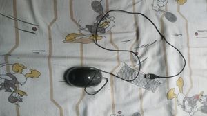 Computer Mouse