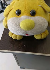 CUTE CD CASE