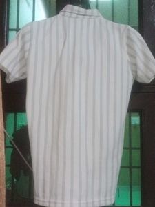 T Shirt With New Collection