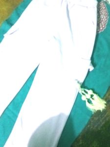 levender Casual pant