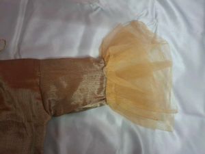 Golden Blouse with Net Sleeves