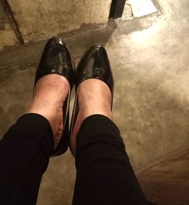 Black bellies