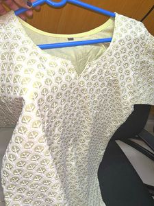 Embroidered Chicken Kari  Work Tunic Top