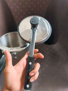 Pigeon Special Pressure Cooker