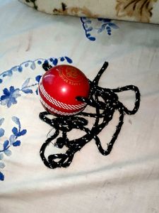 Cricket Ball - Reliable Super