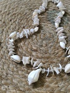 Seashell Statement Necklace