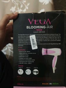 Vega Hair Dryer