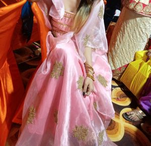 Beautiful Pink Skirt Lenge