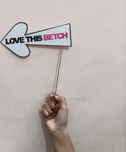 Bachelorette Party Props