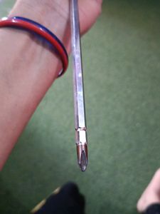 Big size Pagecus