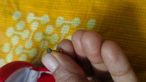 Gold Nose Pin