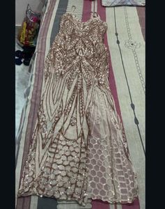 Elegant Ethnic Gown