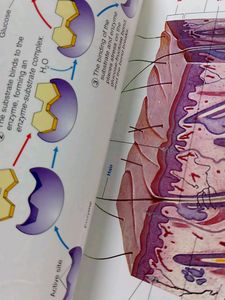 Book : Medical Dictionary For Indian Students &amp; Dr