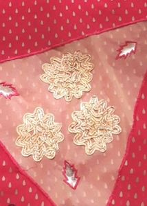 Red Block Buti Saree With Net And Siquence Border