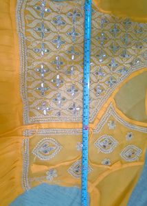 Lucknowi ChickenKari Frock With Inner