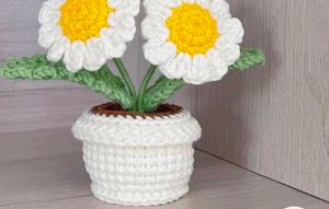 Mini Crochet Flower Pot