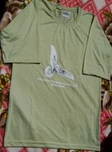 Combo Of Three Cotton T-shirts.