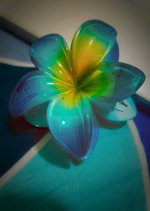 Colorful Flower Hair Clips Claws Set Of 5