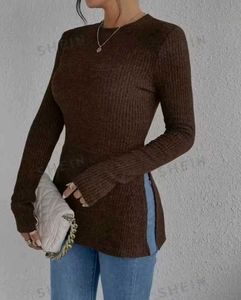 Modest Brown Top